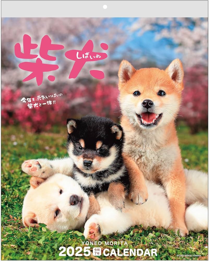 Amazon.co.jp: アクティブコーポレーション 2025年 カレンダー 壁掛け